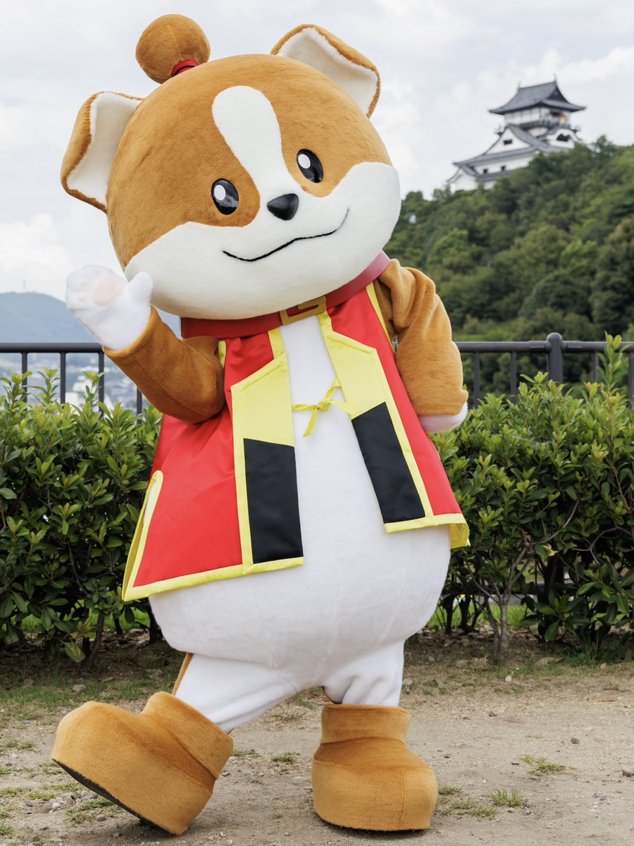 わん丸君