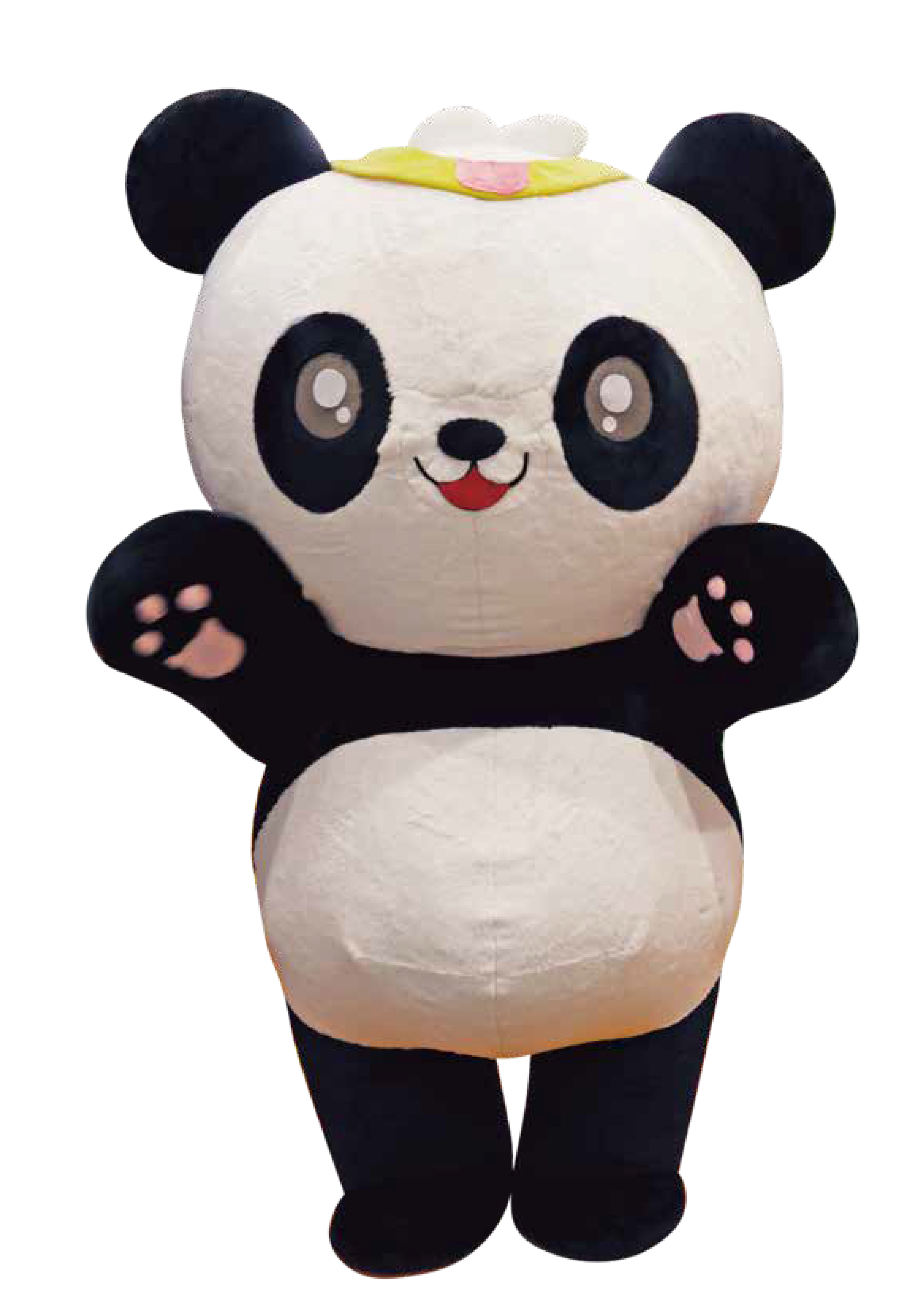 Panki