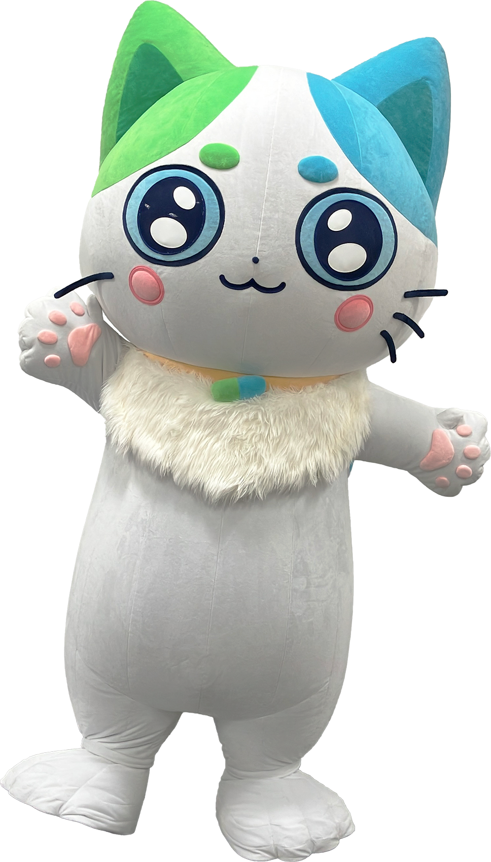 ねこいちさん