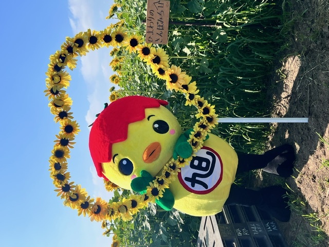 あさピー