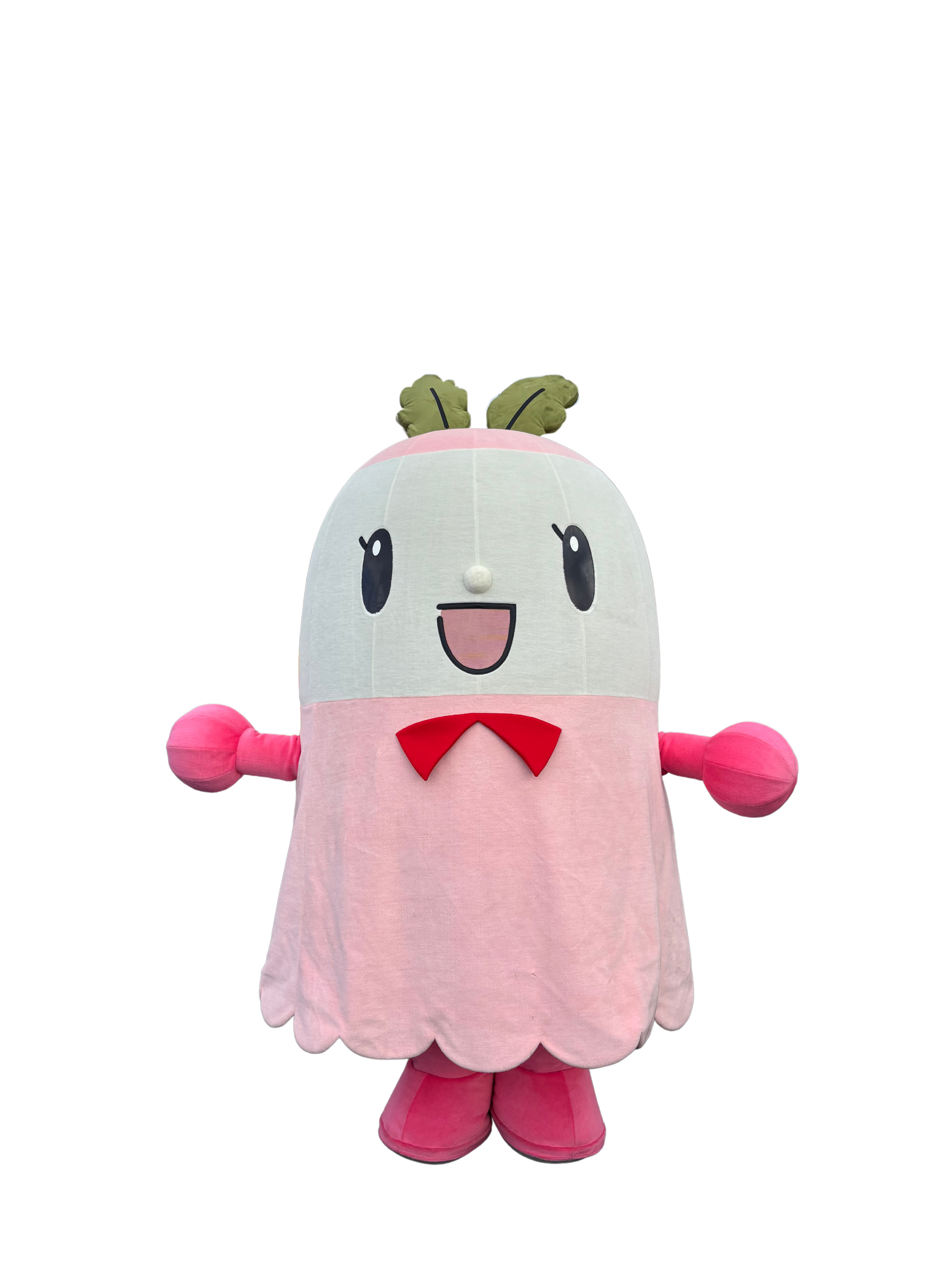 あのなひのな