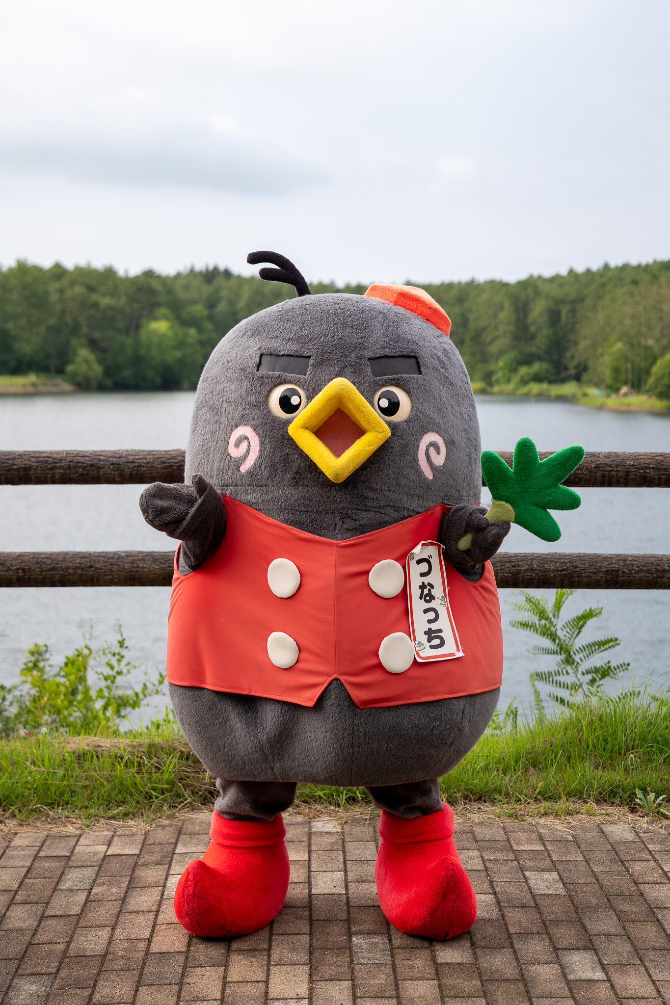 づなっち