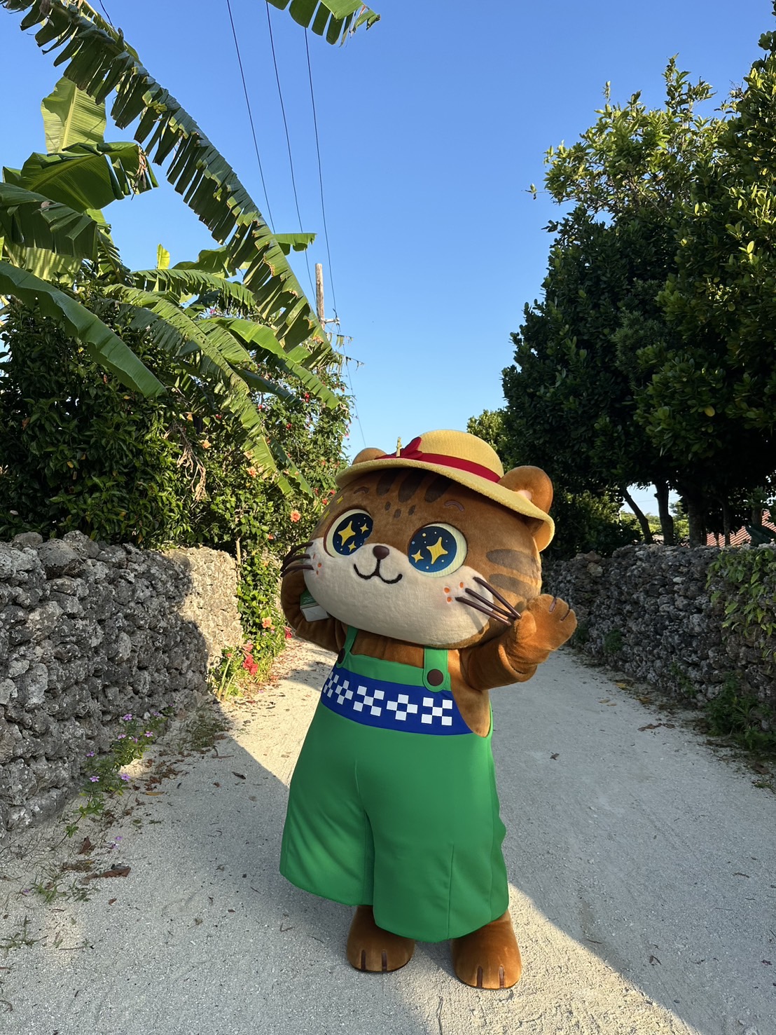 いりおもにゃ