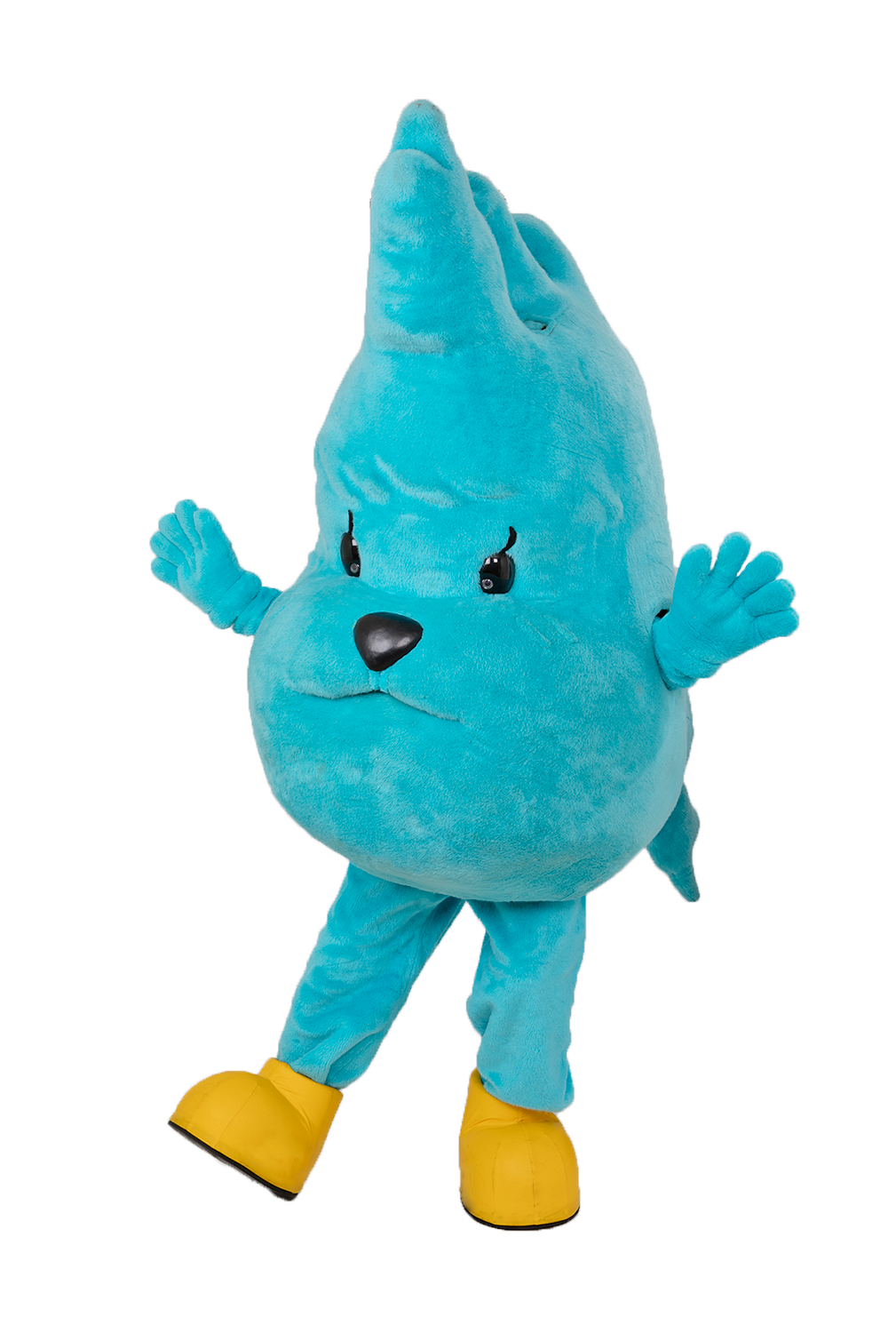 びわこぐま