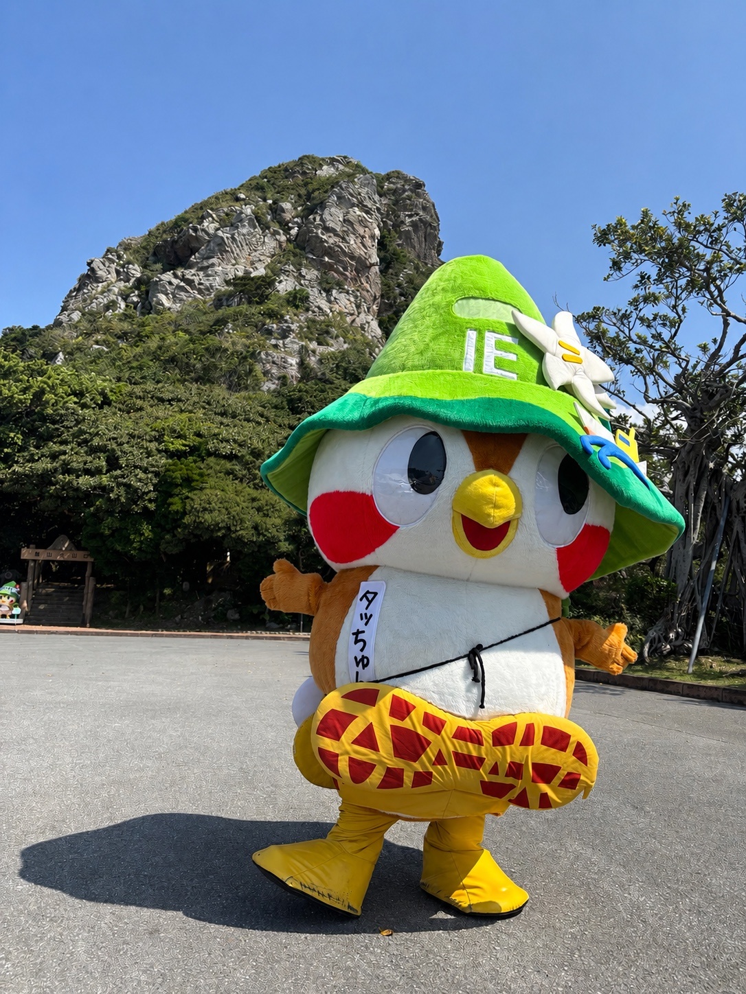 タッちゅん